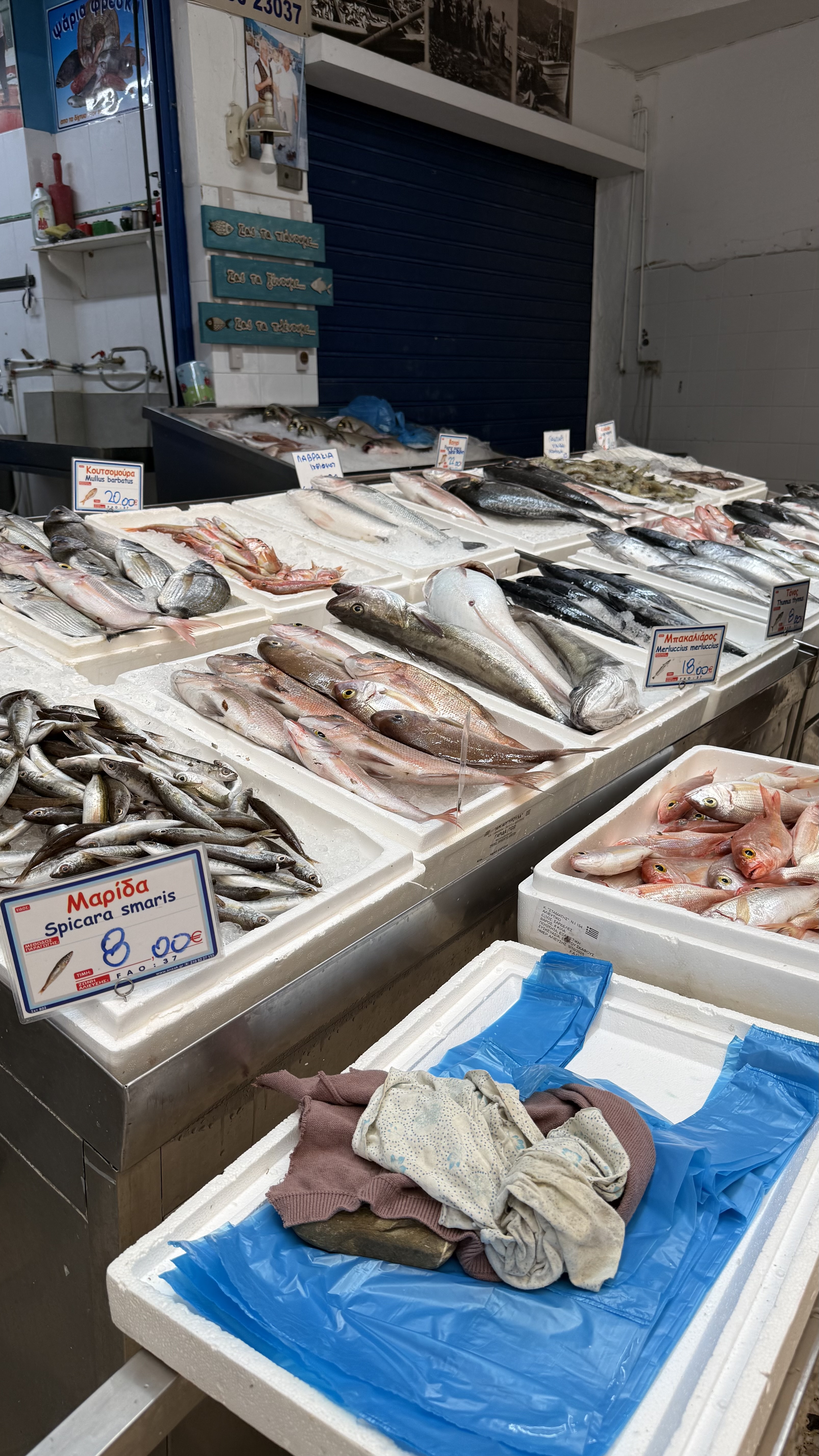 Live Blog Bild 1: Marina Agia