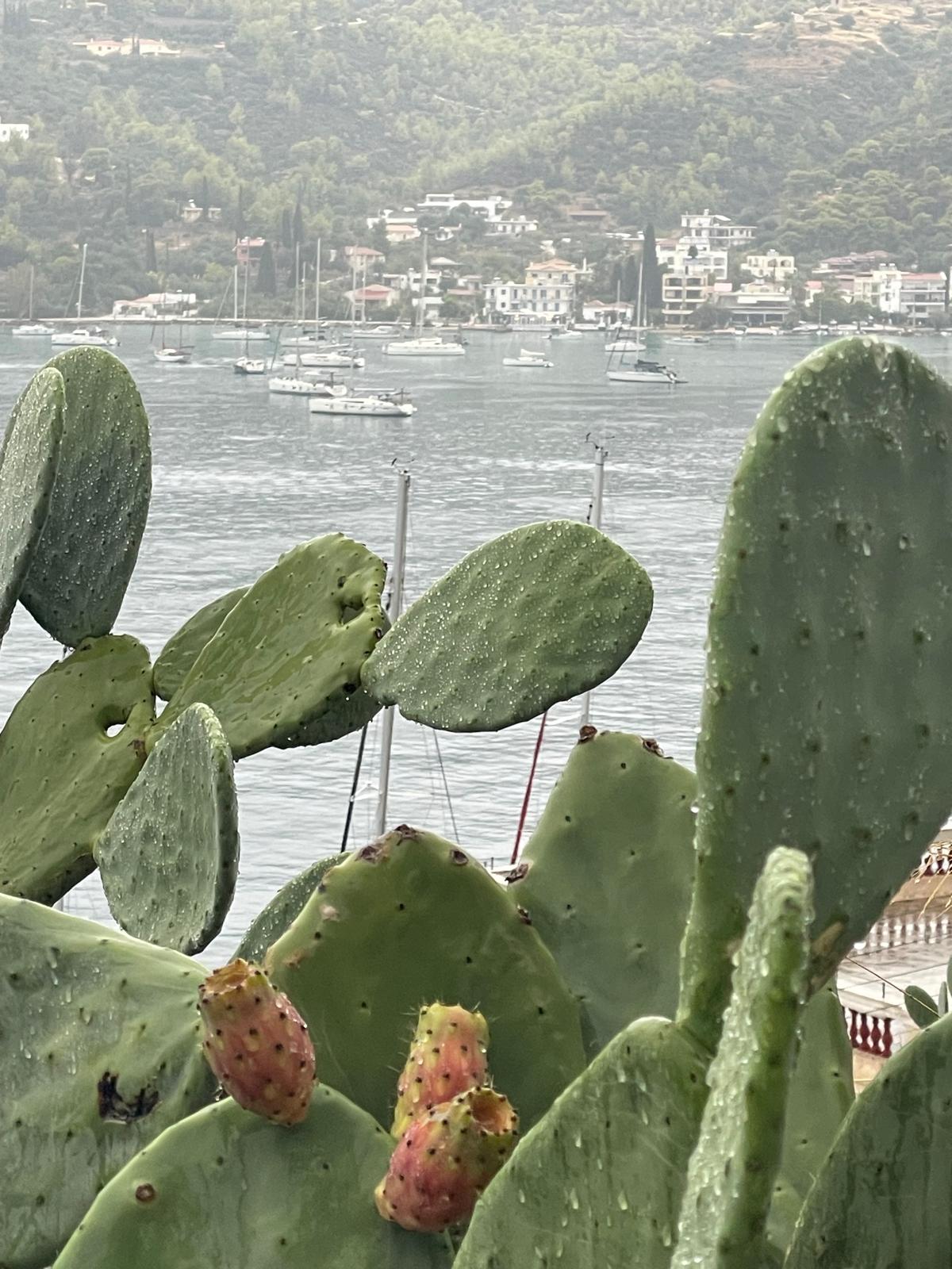 Live Blog Bild 5: Ruhetag mit Landgang